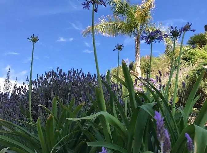 Marisol Beautiful With Oceanview 아데제