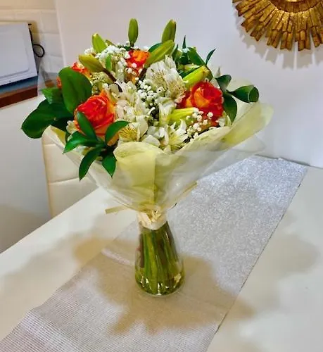 Marisol Beautiful With Oceanview 아파트