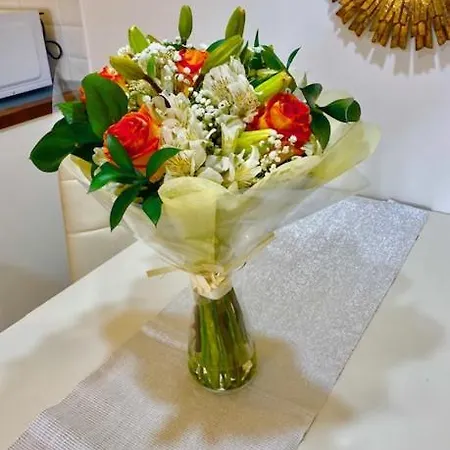 Marisol Beautiful With Oceanview Apartament